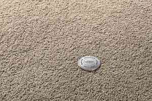 Ковролин Vorwerk Superior 1065/Viola Vorwerk 8h50 фото  | FLOORDEALER